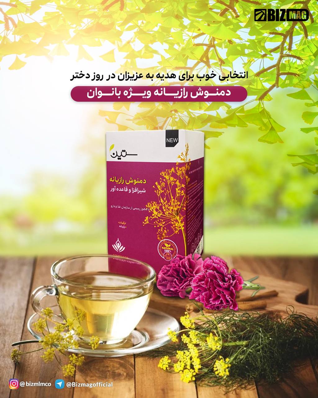 دمنوش رازیانه بانوان ستین ۲۰ عددی