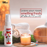 اسپری بوگیر سیگار نانو