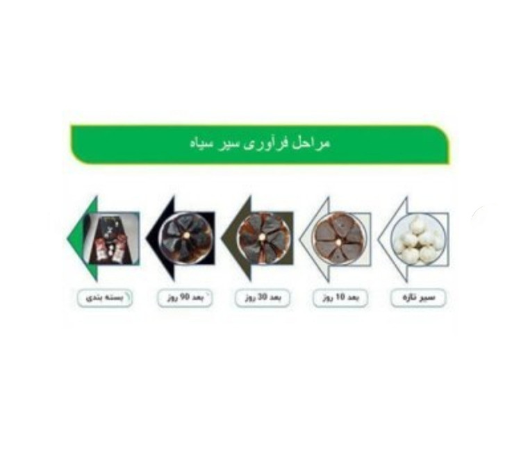 سیرسیاه دکتر بیز 2 عددی