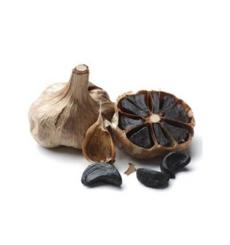 سیرسیاه دکتر بیز یک عددی